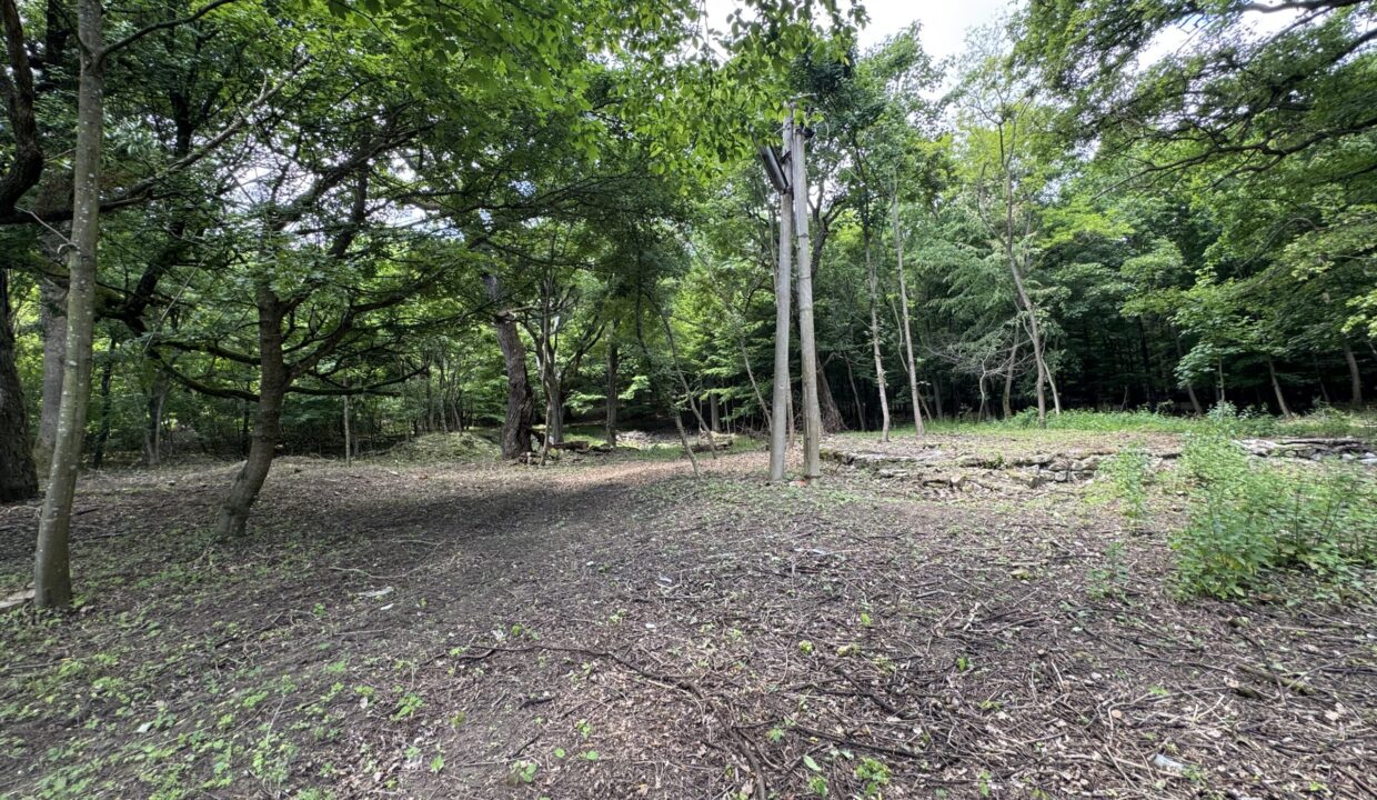 12FEA968-5E31-4B74-8A6A-3AFBD2E90902