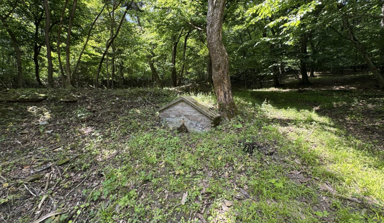 237B2592-5DB1-4DB7-8C39-6DCDF237FE52