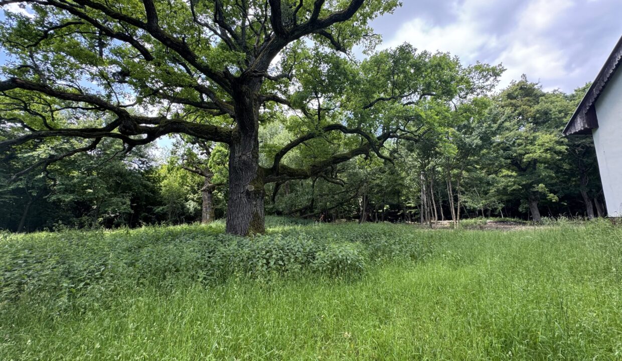 4DFD0196-159D-434A-9DCC-6BF8CEC534EA