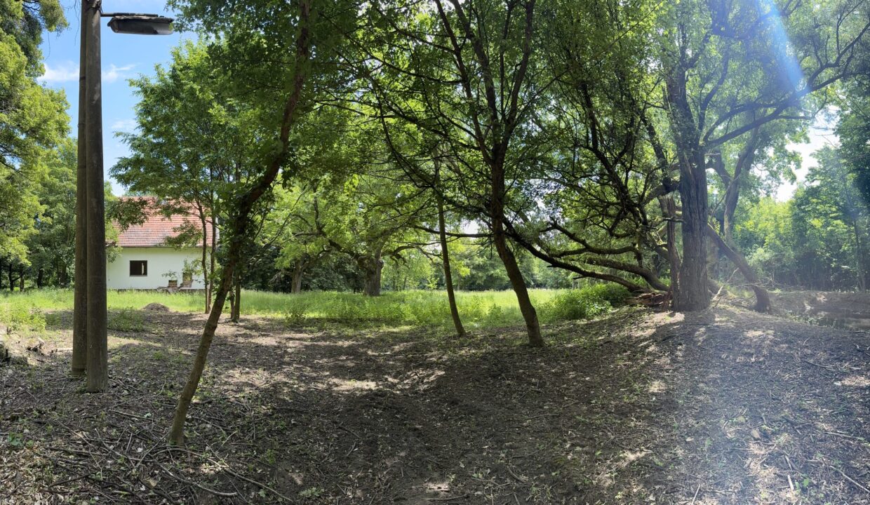 82623391-EC5F-4B0B-AAAA-AB5253785F7E